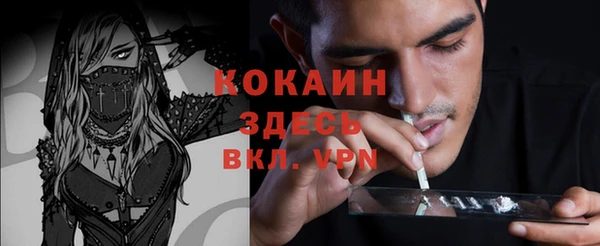 сатива Балахна