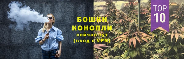сатива Балахна