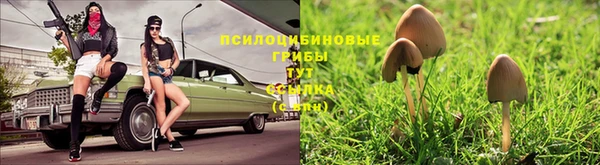 сатива Балахна