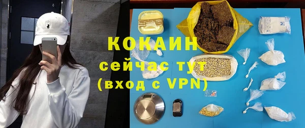 сатива Балахна