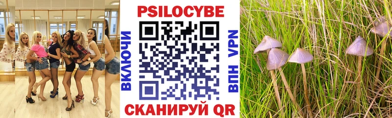 Псилоцибиновые грибы ЛСД Гулькевичи
