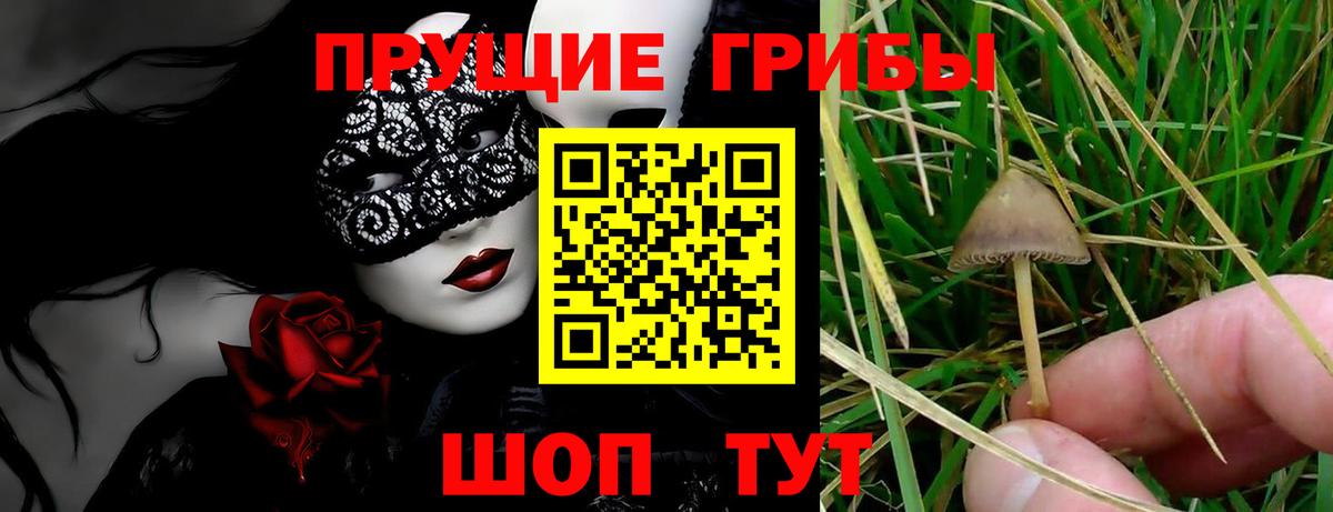Галлюциногенные грибы Cubensis  даркнет сайт  Гулькевичи  Вход с VPN 
